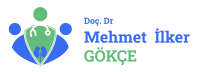 Prof. Dr. Mehmet İlker Gökçe